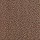 Mohawk Aladdin Carpet Tile: Color Pop Plank Tile Henna